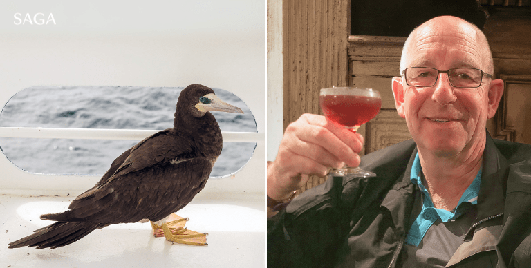 Two images side by side: The first is a brown booby, the booby's head and upper body (back) is covered in dark brown to blackish plumage, with the remainder (belly) being a contrasting white. The second image is guest Jeremy, smiling at the camera as he holds up a glass of red wine.